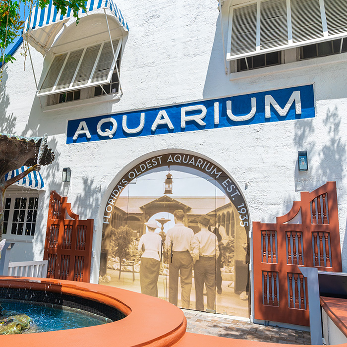 front of the key west aquarium