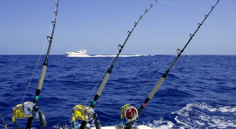 Florida ocean and fishing rods