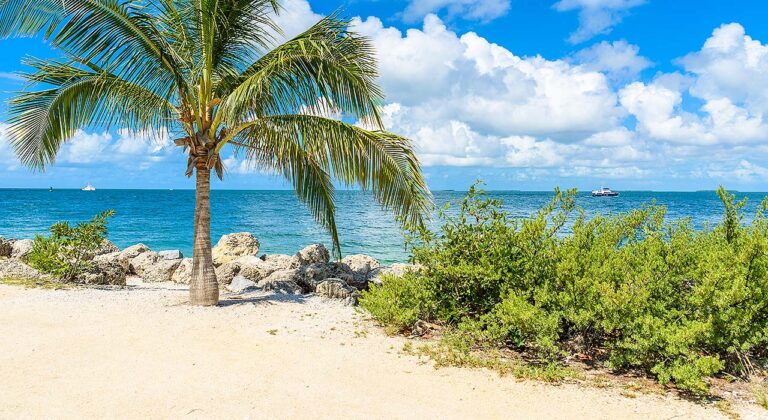 Fort Zachary Taylor beach