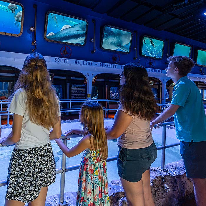 Key West Aquarium windows exhibit