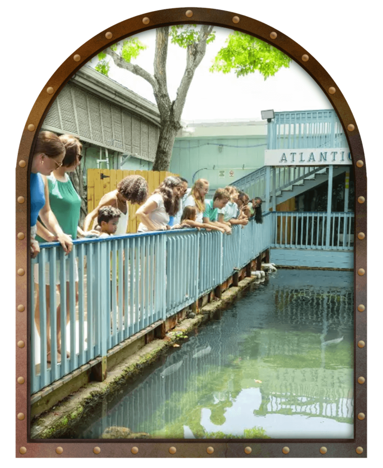 ticket packages at the key west aquarium