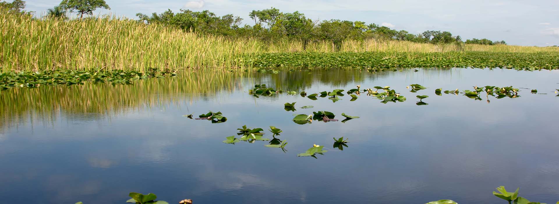 Florida Everglades